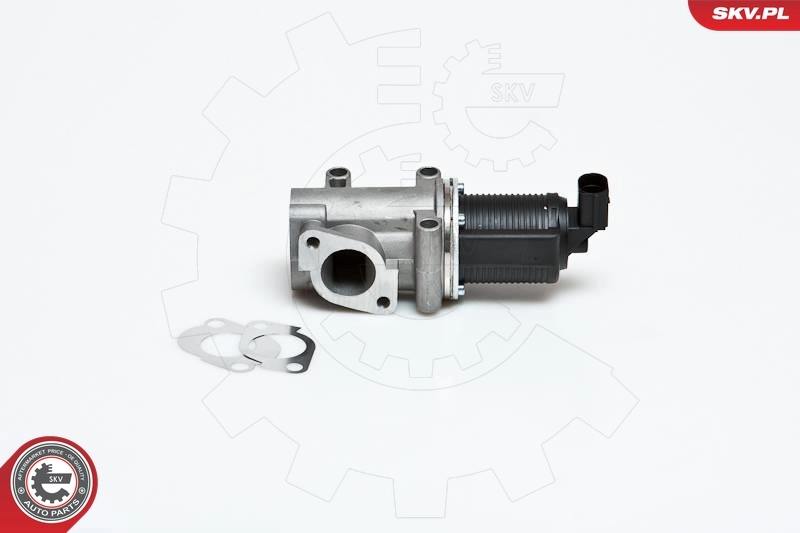 EGR Valve